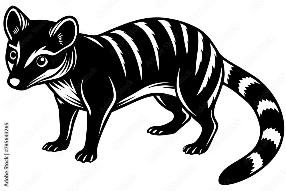 African Palm Civet vector silhouette on white background African Palm Civet vector silhouette on white background
