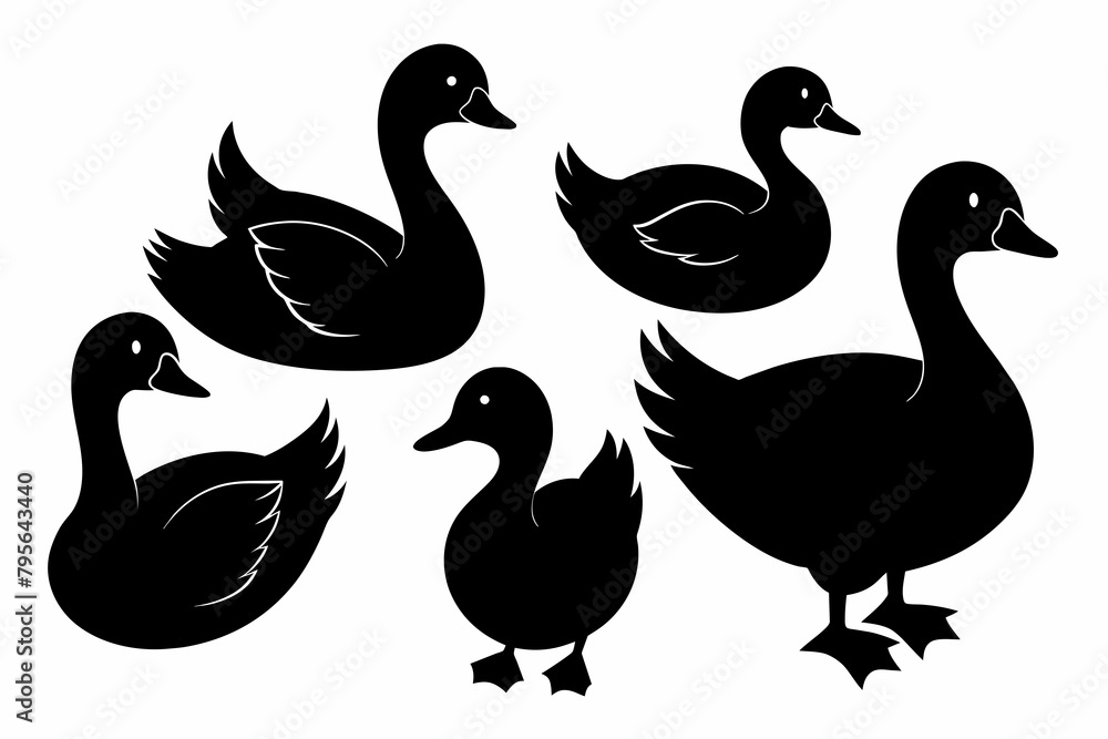 Set of black silhouette duck's vector illustration With on white background Set of black silhouette duck's vector illustration With on white background