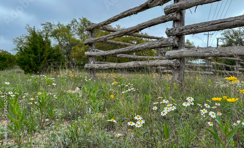 Rural Wooden Fence in a Field of Flowers