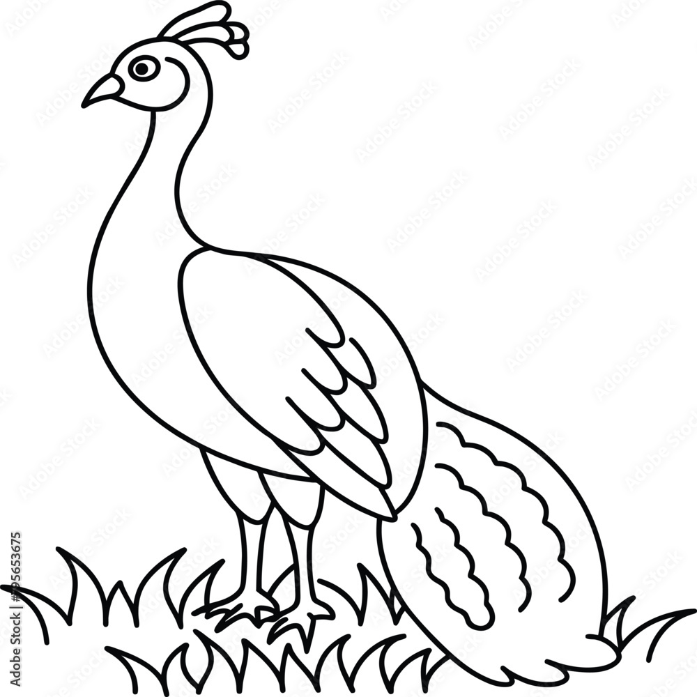 Peacock bird coloring pages. Peacock bird coloring pages.