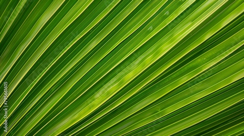 Close-up of a fresh  vibrant green foliage against a blurred backdrop