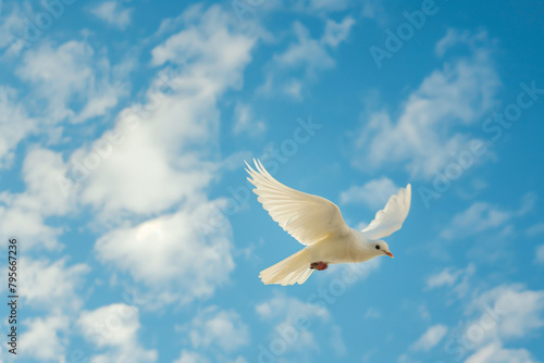 A white dove soars amidst cumulus clouds in the blue sky. Generative AI
