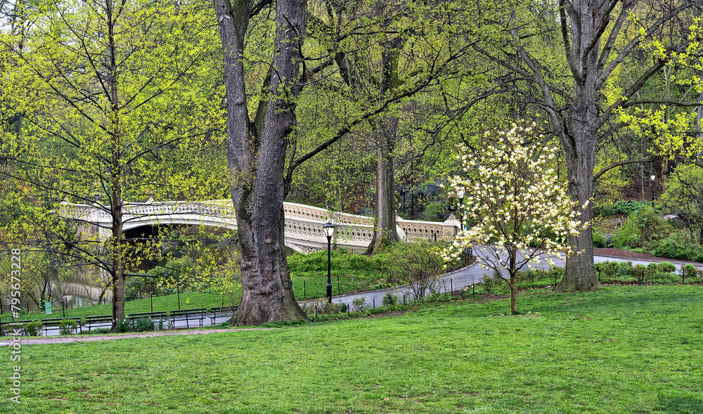 Bow bridge after morning rain in spring