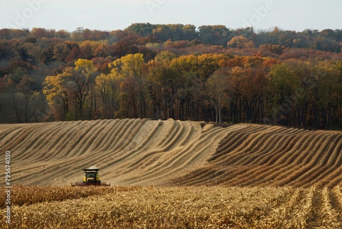 A field with a bountiful autumn harvest photo