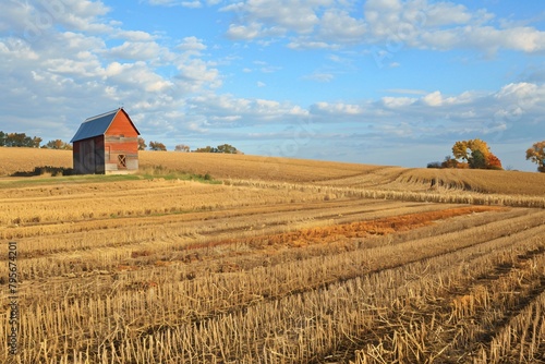 A field with a bountiful autumn harvest photo