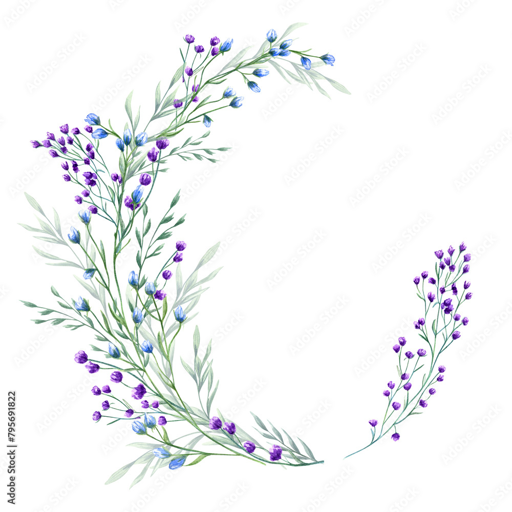 Purple, blue flowers and spikelet. Spring, summer green herbs. Wreath of meadow, forest wildflowers. Floral frame of blooming field plants. Watercolor illustration with copy space for text Purple, blue flowers and spikelet. Spring, summer green herbs. Wreath of meadow, forest wildflowers. Floral frame of blooming field plants. Watercolor illustration with copy space for text