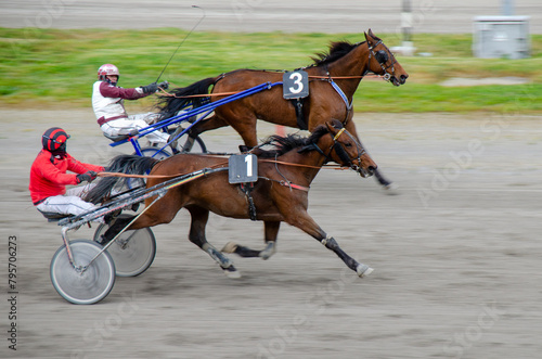 Racing horses trots and rider on a track of stadium. Competitions for trotting horse racing. Horses compete in harness racing. Horse runing at the track with rider.

