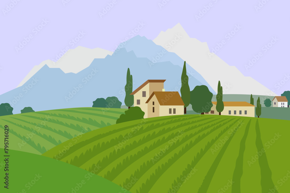 Field of vineyards with mountains. Rural landscape with farm, houses and fields. Vector illustration. Field of vineyards with mountains. Rural landscape with farm, houses and fields. Vector illustration.