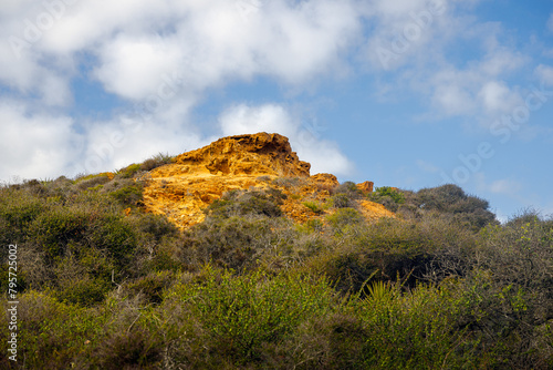 2024-01-10 A TAN COLORED ROCKY OUTCROPPING IN TORREY PINES STATE PARK SURROUNDED BY LISH FOLIAGE AND A BEAUTIFUL SKY NEAR LA JOLLA CALIFORNIA