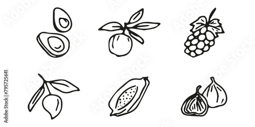 Hand drawn exotic fruit doodles. Cute tropical food sketch, summer fresh organic ingredients vector illustration