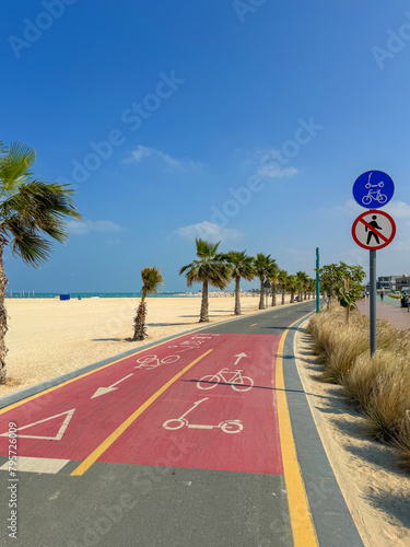Canvas Print bike path with palm trees along Kite beach in Dubai, United Arab Emirates