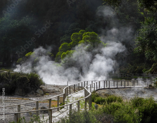 The hot steam from volcanic activity near the Lagoa das Furnas, Azores.  photo