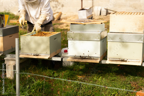 Caring for the hives