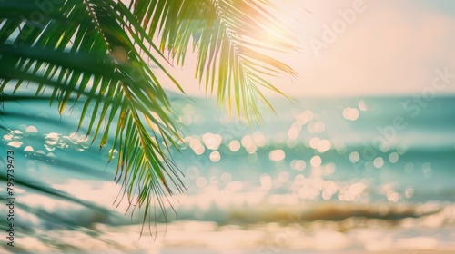 A captivating image of a green palm leaf softly blurred in the foreground, with a sunlit tropical beach as the backdrop