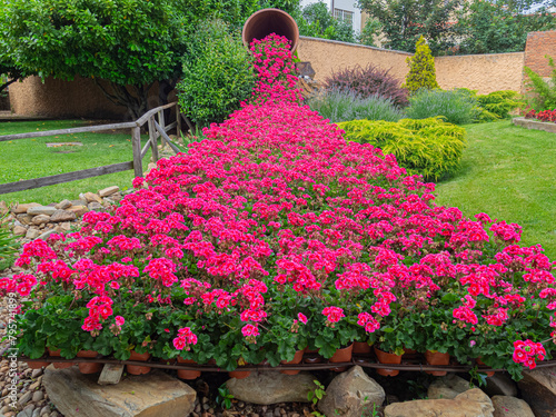 Vista de un jarro tumbado con un reguero de flores rosas en el prado verde de la ciudad de Astorga en León España, verano de 2021 photo