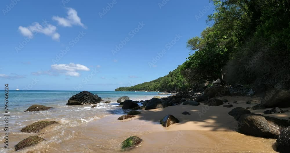 The beach of Grande Anse, Deshaies, Basse Terre, french West Indies, Guadeloupe