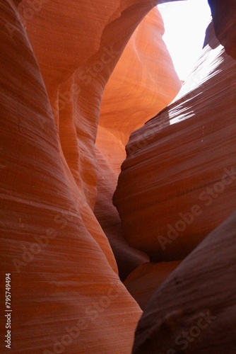 Red Canyon 