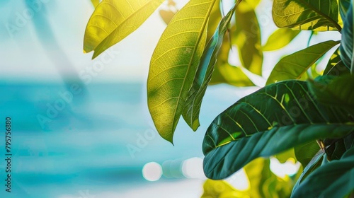 Close up of foliage on plant