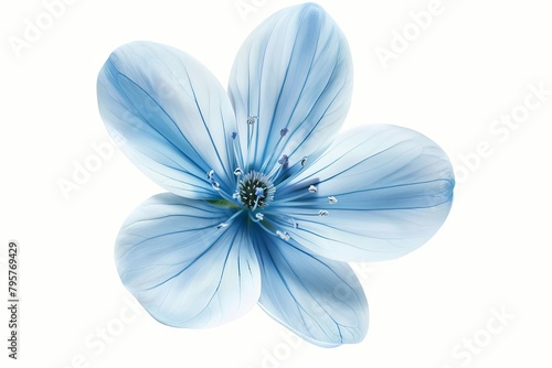 blue flower with delicate petals and vibrant color isolated on pure white background floral beauty concept illustration 14 photo