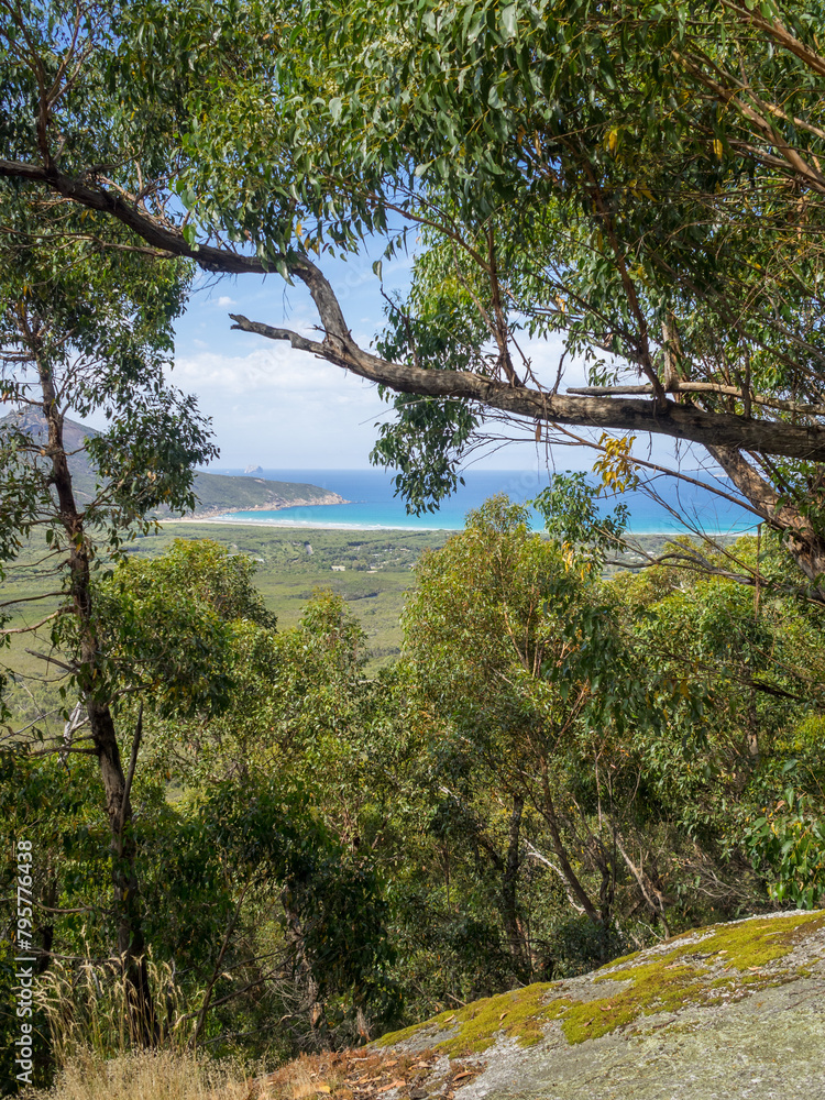 Views across Wilsons Promontory from the Lilly Pilly Gully Circuit, Victoria, Australia