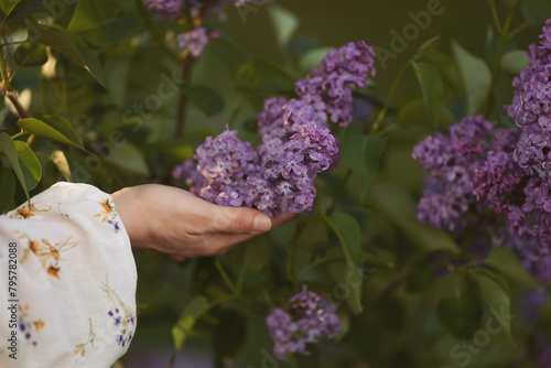 woman hands holding lilac flowers in the spring garden. Lilac flowers in woman hands. Lilac Bush Bloom. Lilac flowers in the garden.(soft focus)