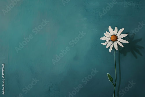 White daisy flower on a wall background
