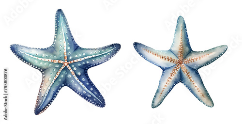 Starfish, sea, watercolor clipart illustration with isolated background.