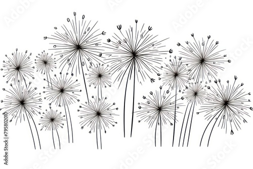 Fireworks outline sketch backgrounds dandelion flower.