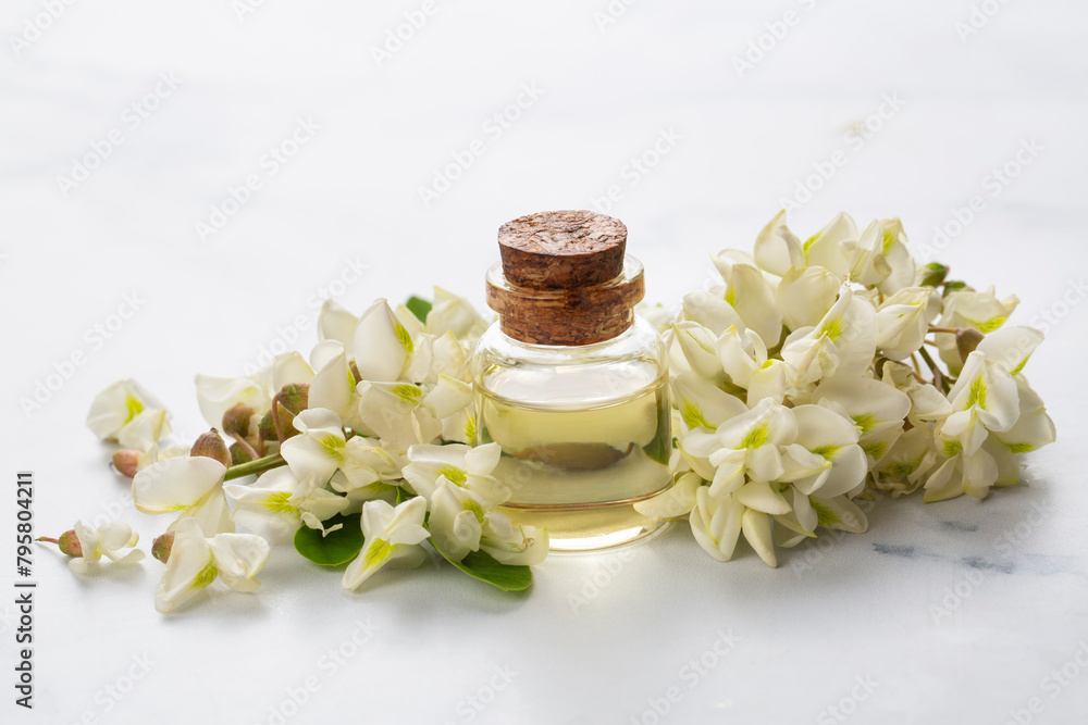 Robinia (false acacia) essential oil (remedy, extract) bottle with fresh acacia flowers Robinia (false acacia) essential oil (remedy, extract) bottle with fresh acacia flowers