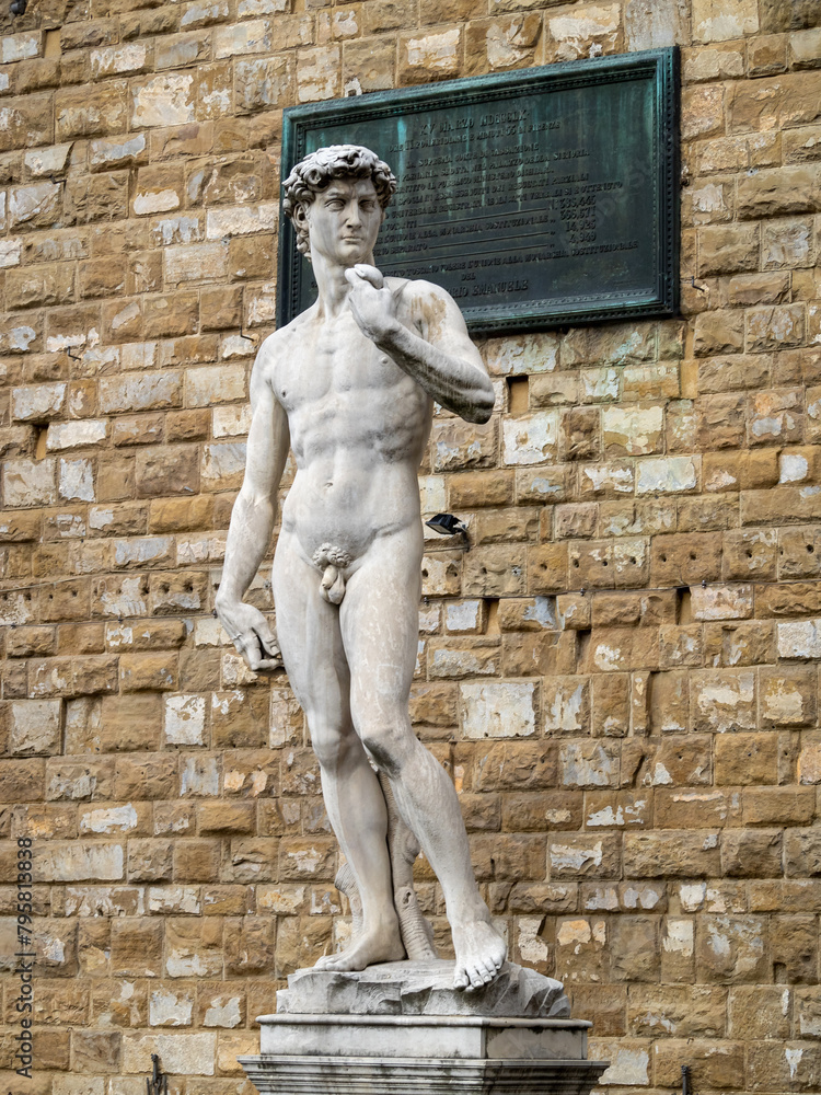 Naklejka premium David Statue in Piazza della Signora, Florence