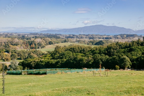 View to Kapiti Island from a farm in Waikanae, Wellington, New Zealand. photo