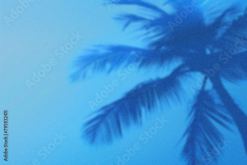 A blue gradient background with the shadow of an abstract palm tree in a minimalistic style with negative space. (ID: 795832411)