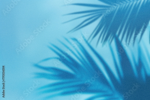 A light blue gradient background with the shadow of an abstract palm tree in a minimalistic style with negative space. (ID: 795836004)