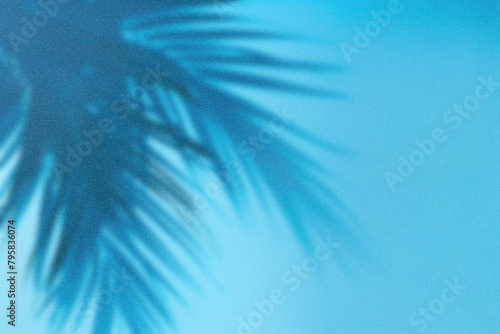 A light blue gradient background with the shadow of an abstract palm tree in a minimalistic style with negative space. (ID: 795836074)