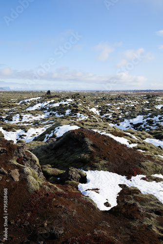 Eldhraun Lava Fields Landscape in Iceland Covered with Moss and Snow