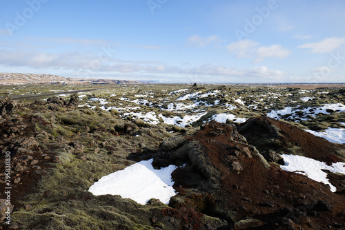 Eldhraun Lava Fields Landscape in Iceland Covered with Moss and Snow