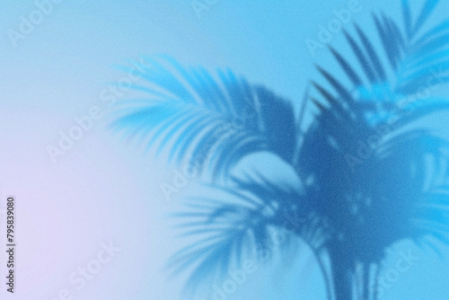 A light blue gradient background with the shadow of an abstract palm tree in a minimalistic style with negative space. (ID: 795839080)