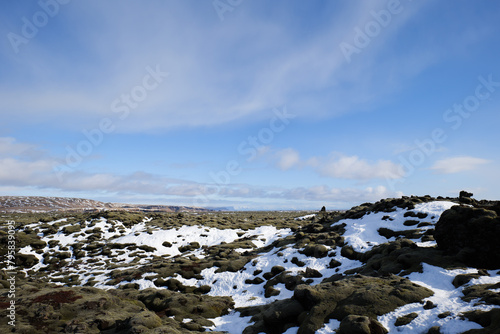 Eldhraun Lava Fields Landscape in Iceland Covered with Moss and Snow