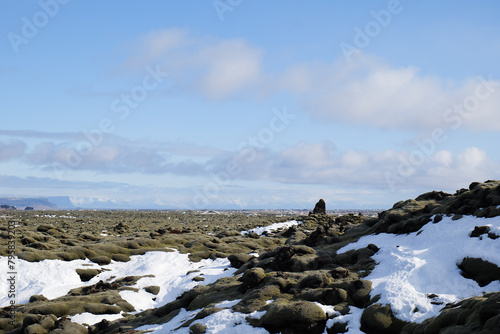 Eldhraun Lava Fields Landscape in Iceland Covered with Moss and Snow