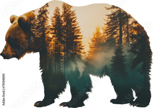 Silhouette of a bear with a forest landscape