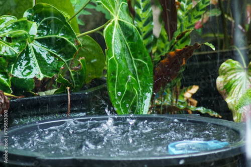 rainwater harvesting systems to collect and hold rainwater for irrigation purposes later