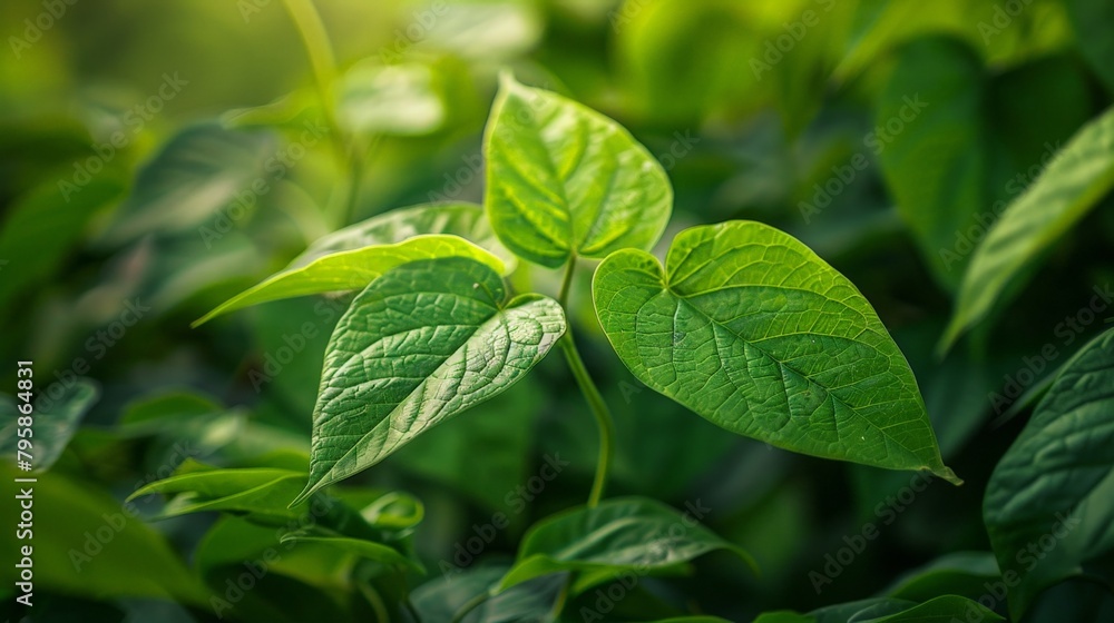 Closeup of vibrant green foliage under bright lighting Closeup of vibrant green foliage under bright lighting