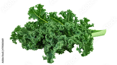 Realistic Kale on transparent background photo