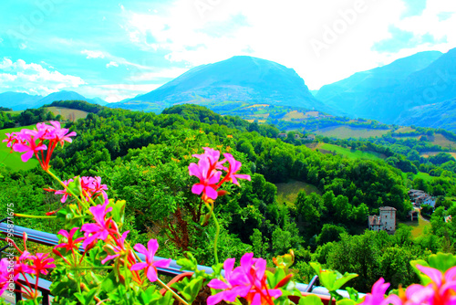 Delicate scenery from Montefortino with pink flowers and their green stems in the foreground, thickets full of trees punctuated by fields and a few buildings, majestic Sibillini in the back