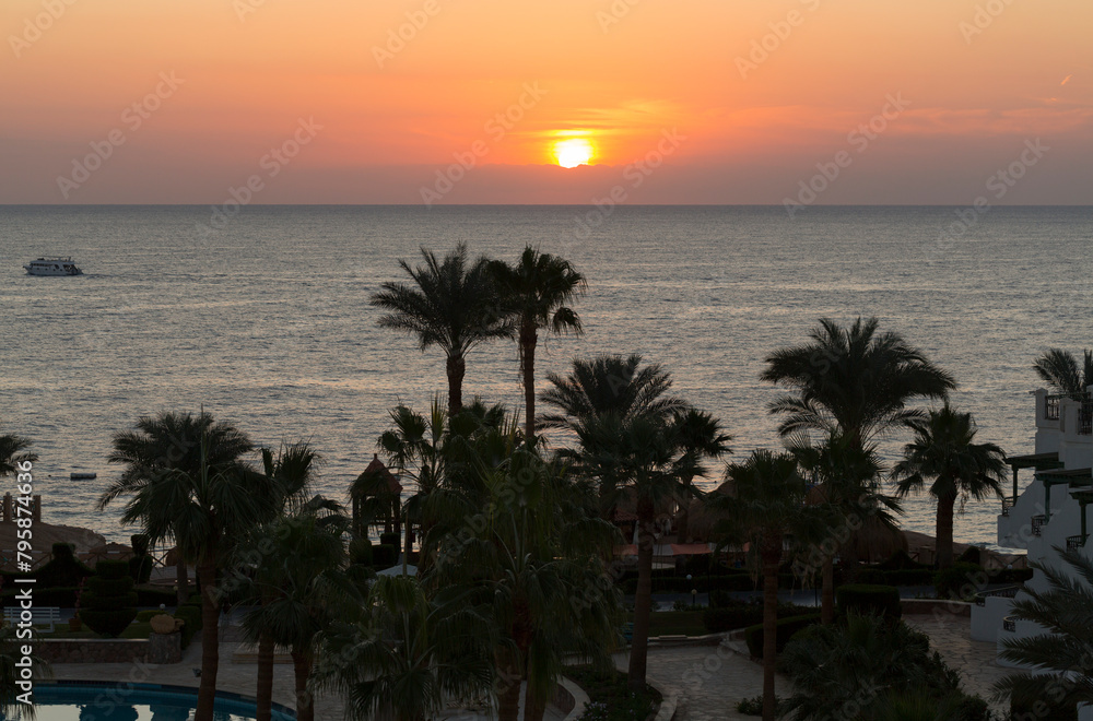 Obraz premium Sunrise on the sea coast. The movement of the sun and clouds across the sky. Park recreation areas of Egypt. Garden and landscape design.