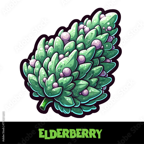 Vector Illustrated Elderberry Cannabis Bud Strain Cartoon (ID: 795876815)