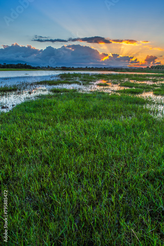 African lake  sunset in an African lake full of green grass and blue water with clouds  African landscape and lake and river water in Jijel  Algeria  nature and environment of Africa  Bodies of Water.