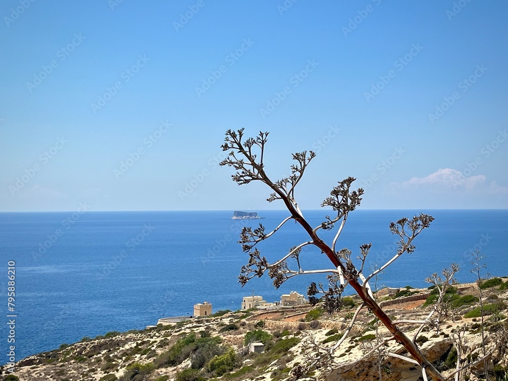 seascape of the island of Malta with a view of the Mediterranean sea from a rocky coast with dried vegetation on an arid summer day
