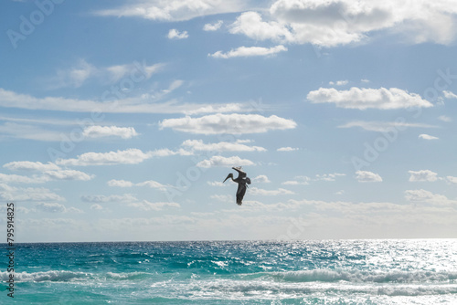 kite surfing on the beach