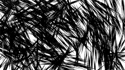 ワイルドな背景/全体